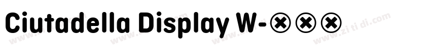 Ciutadella Display W字体转换